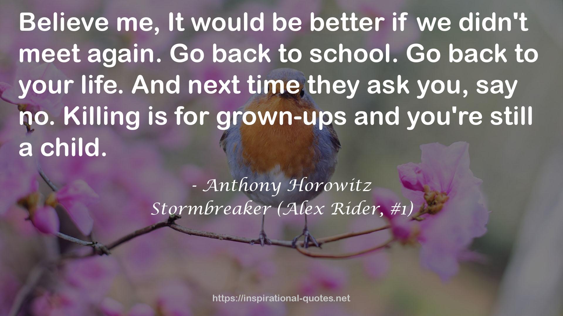 Stormbreaker (Alex Rider, #1) QUOTES