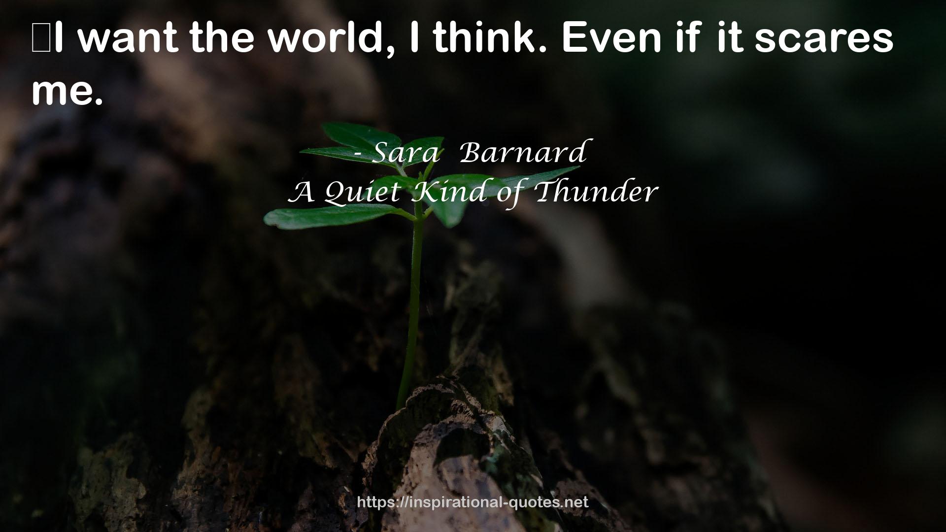 A Quiet Kind of Thunder QUOTES