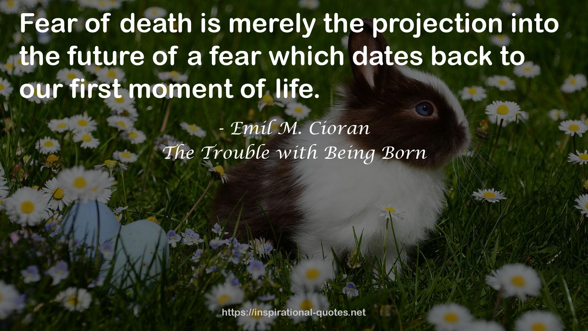 The Trouble with Being Born QUOTES