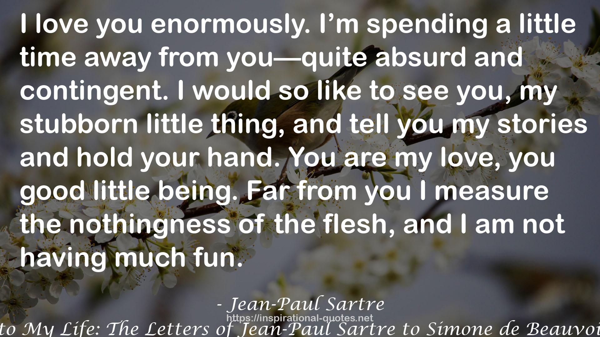 Witness to My Life: The Letters of Jean-Paul Sartre to Simone de Beauvoir 1926-39 QUOTES