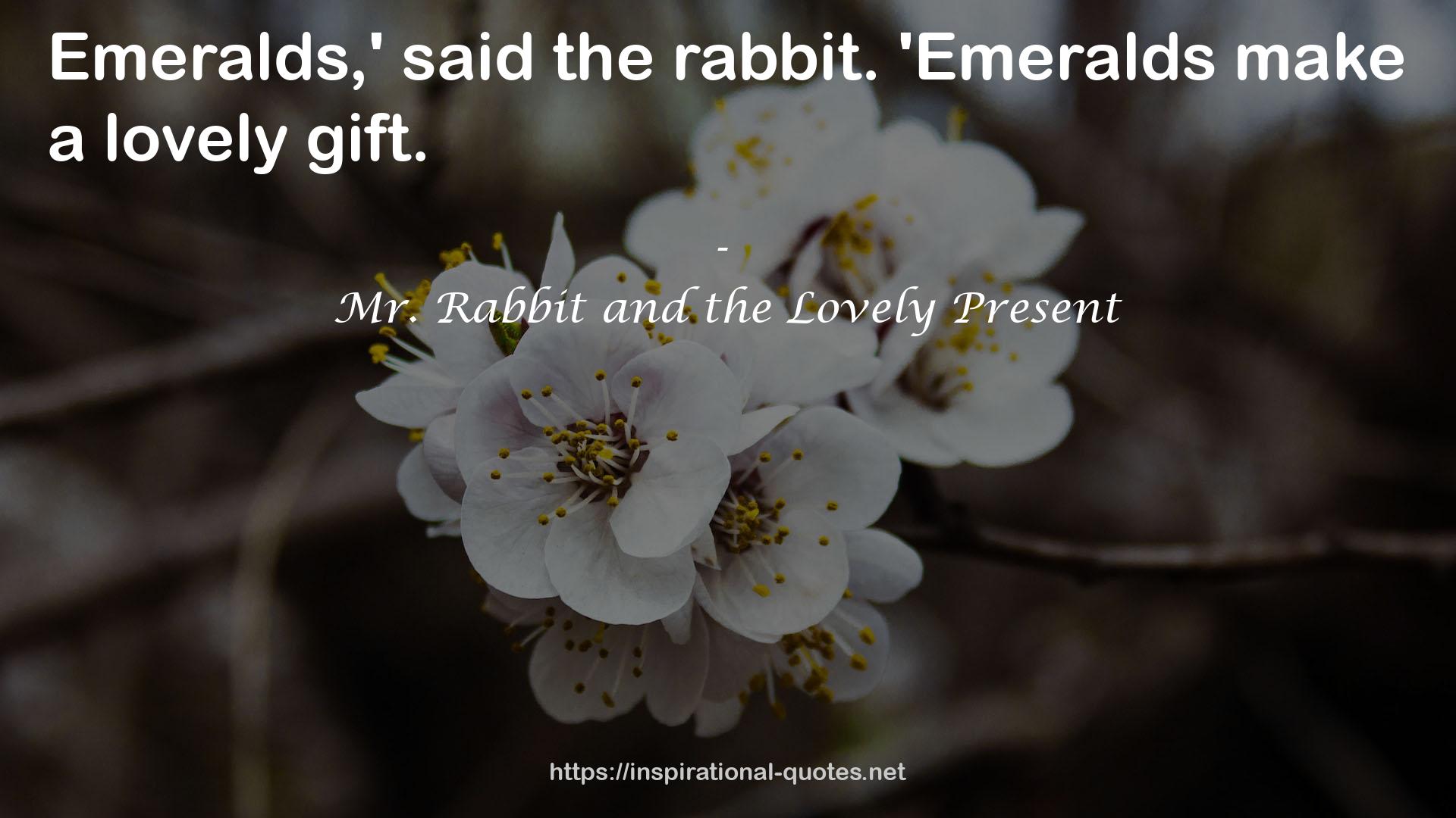 Mr. Rabbit and the Lovely Present QUOTES