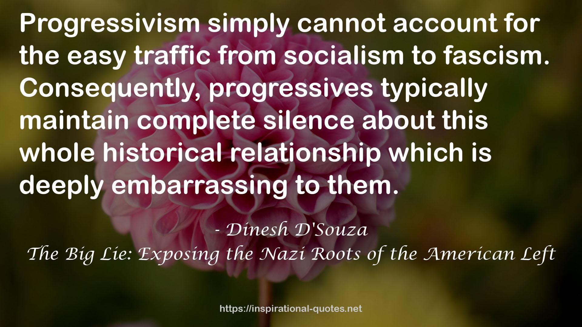 The Big Lie: Exposing the Nazi Roots of the American Left QUOTES