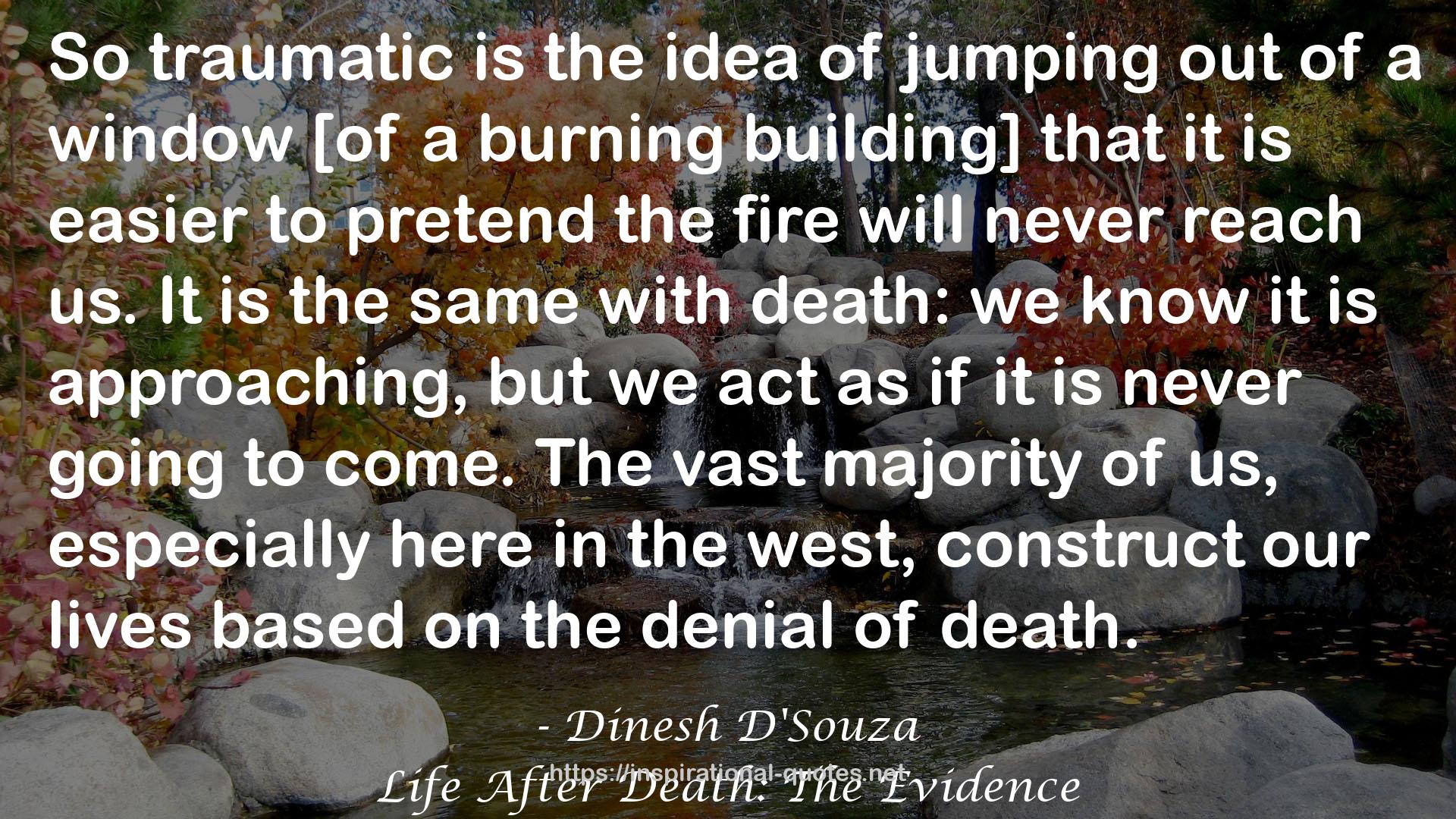 Life After Death: The Evidence QUOTES