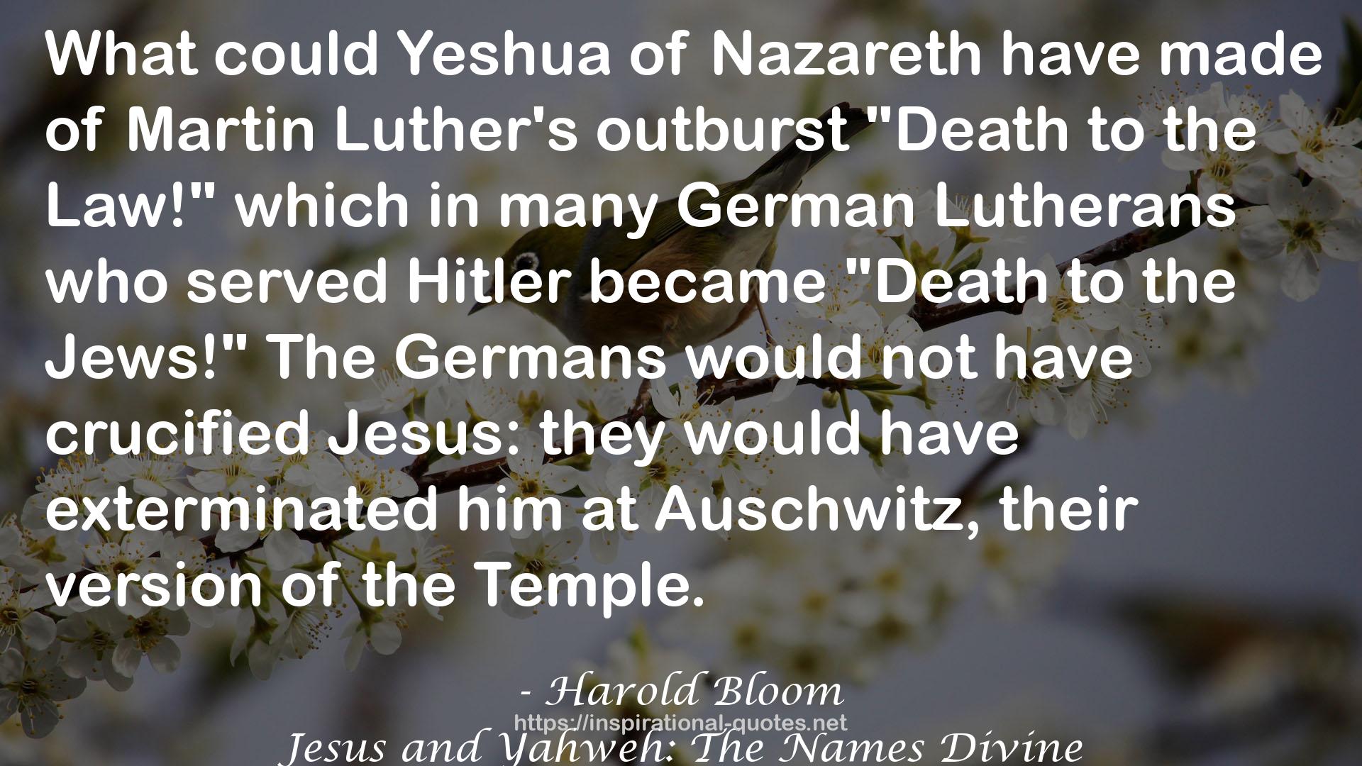 Jesus and Yahweh: The Names Divine QUOTES