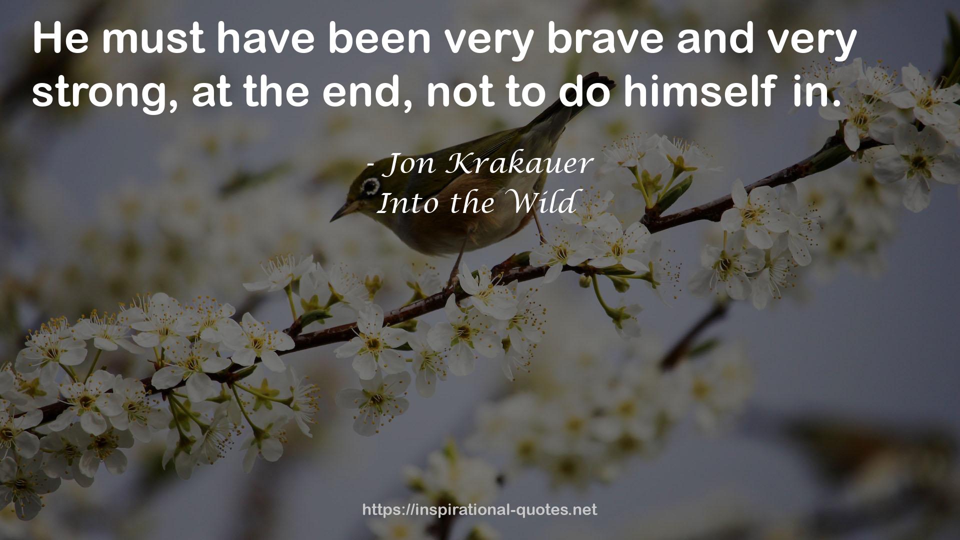 Into the Wild QUOTES