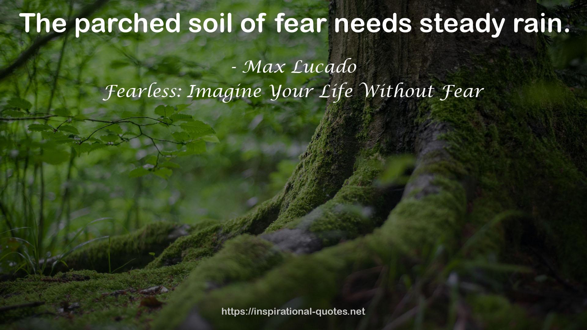 Fearless: Imagine Your Life Without Fear QUOTES