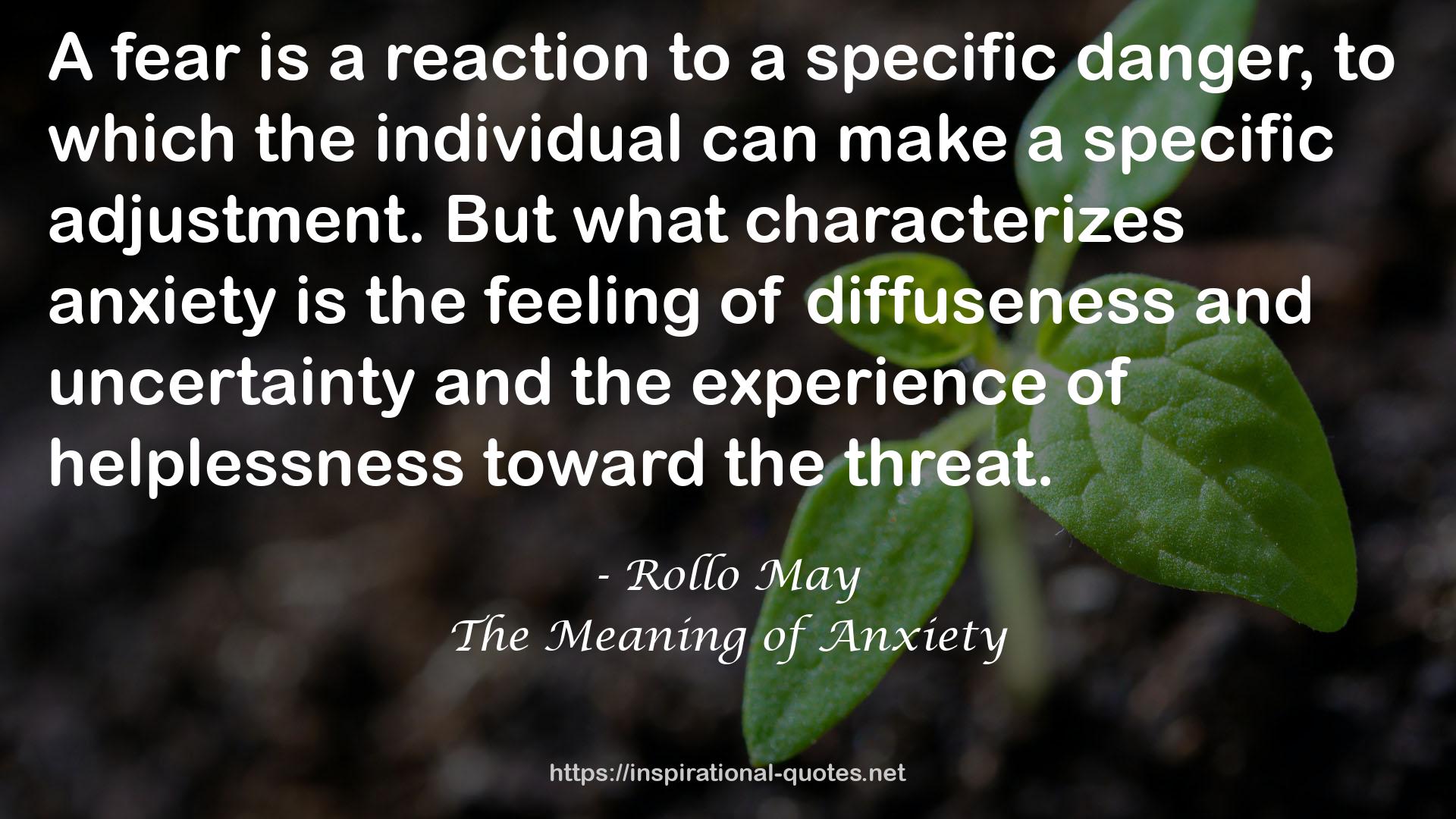 The Meaning of Anxiety QUOTES