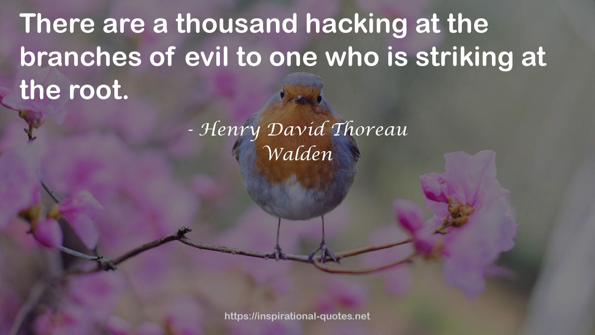 a thousand hacking  QUOTES