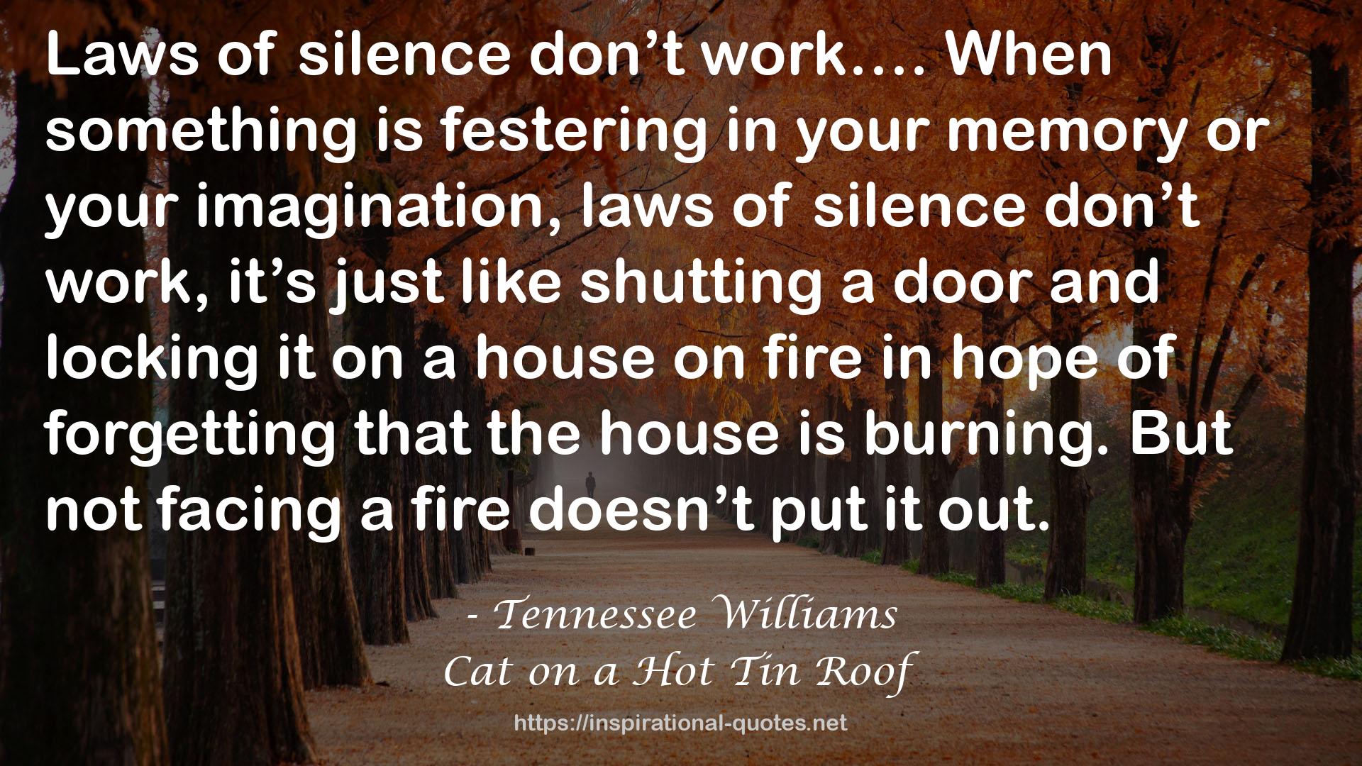 Cat on a Hot Tin Roof QUOTES