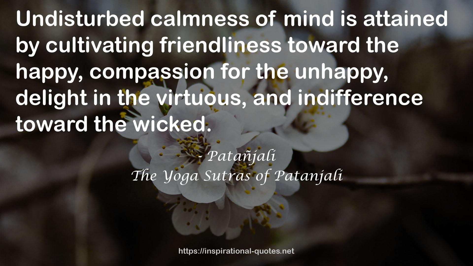 The Yoga Sutras of Patanjali QUOTES