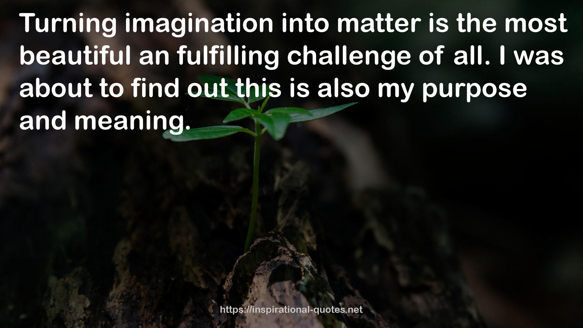 the most beautiful an fulfilling challenge  QUOTES