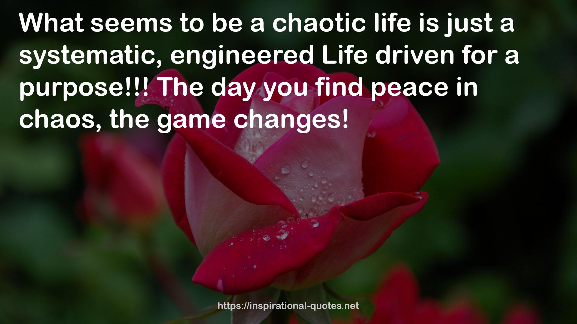 a chaotic life  QUOTES