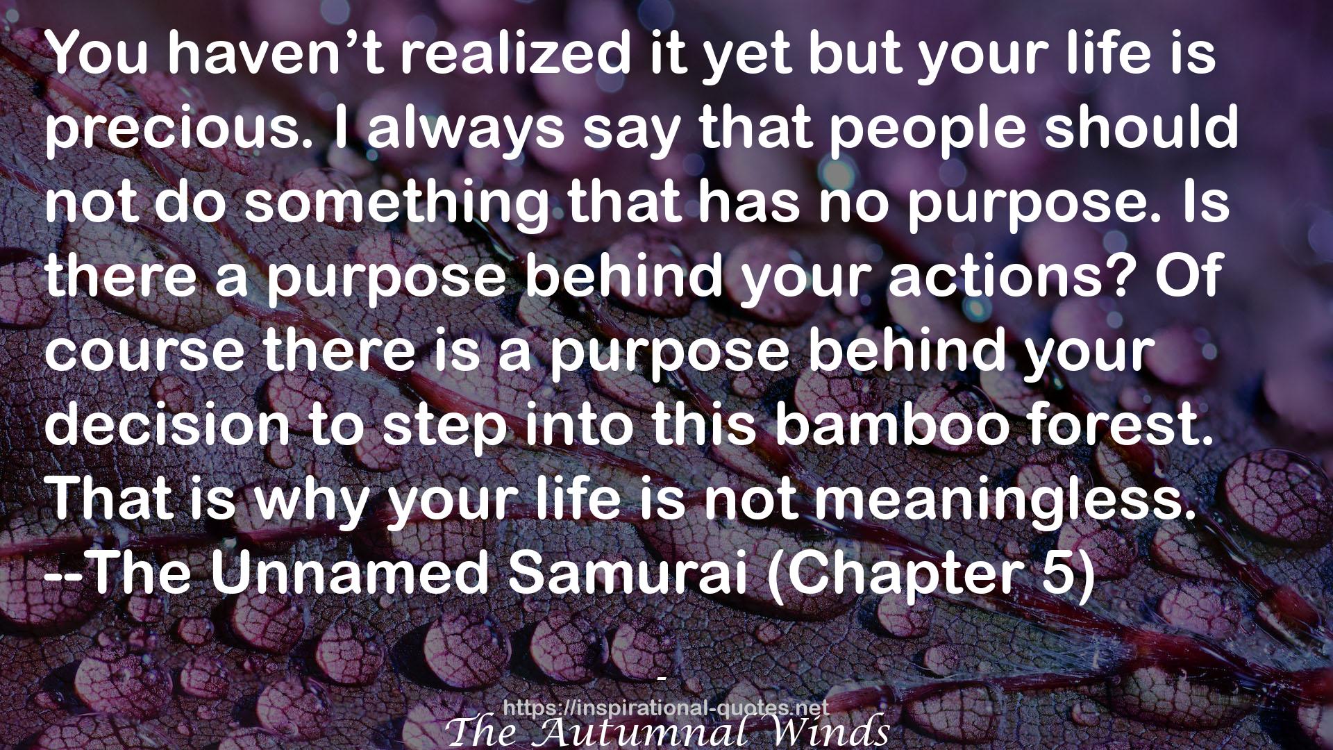 --The Unnamed Samurai  QUOTES