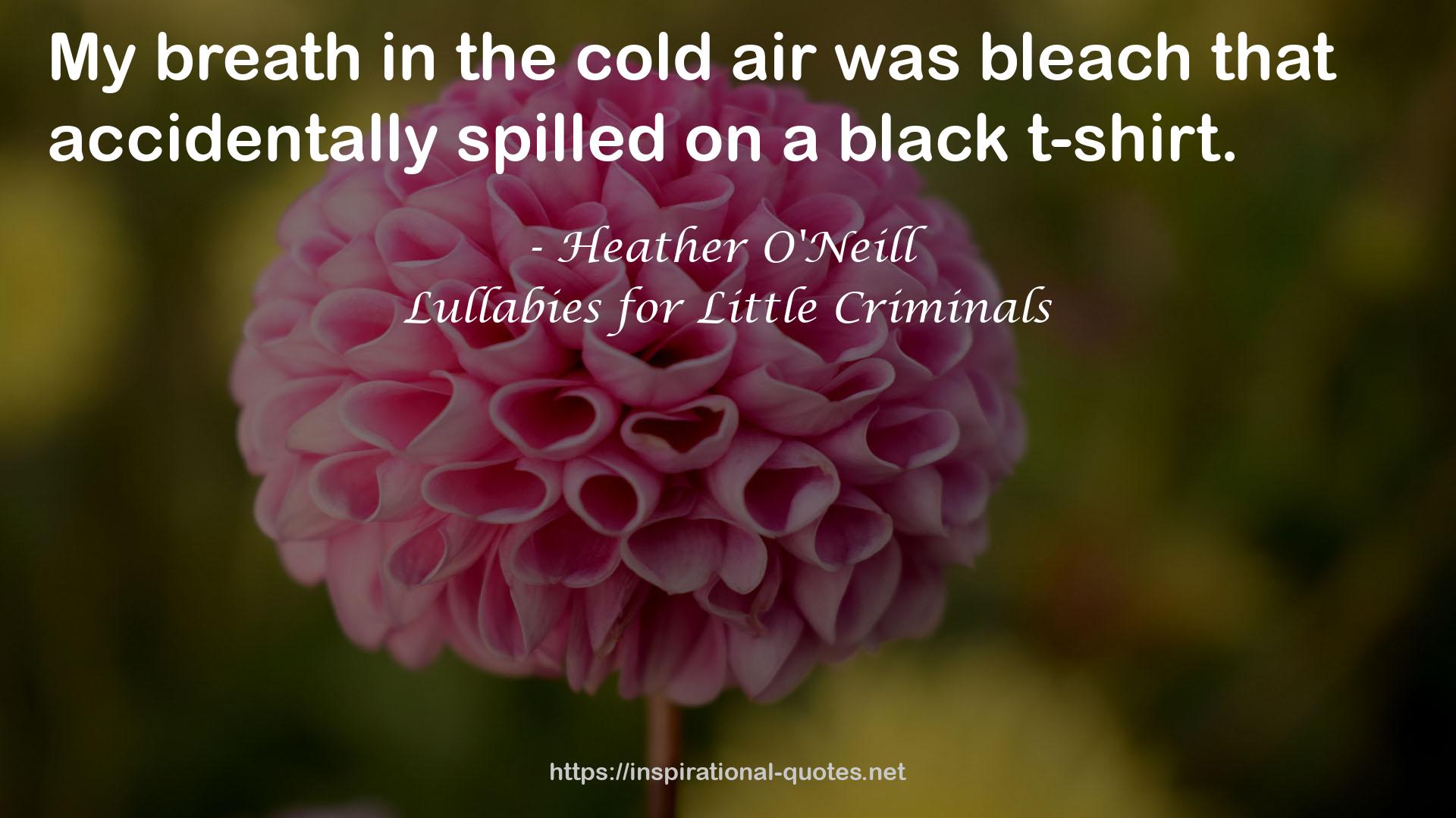 Lullabies for Little Criminals QUOTES