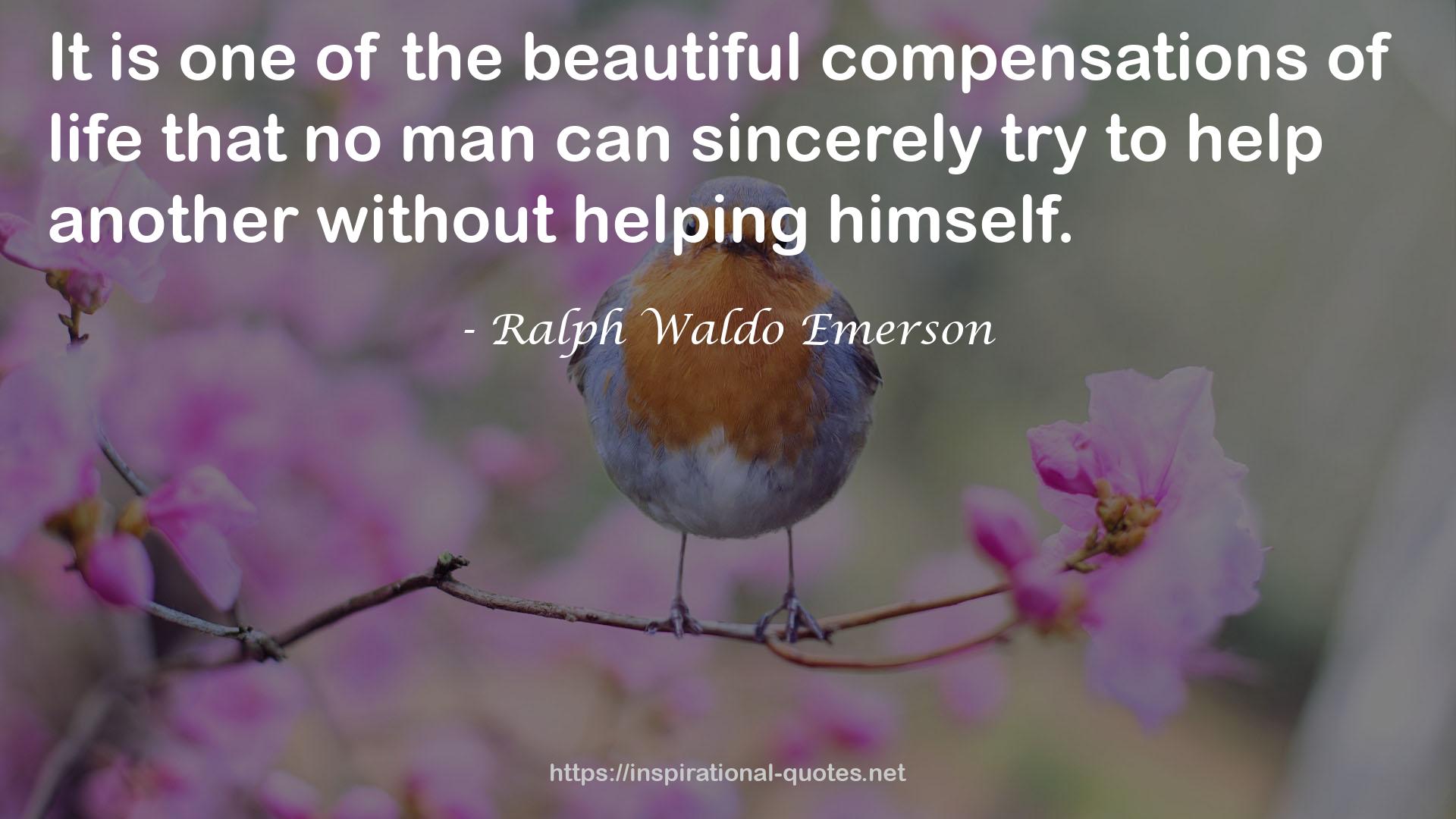 the beautiful compensations  QUOTES