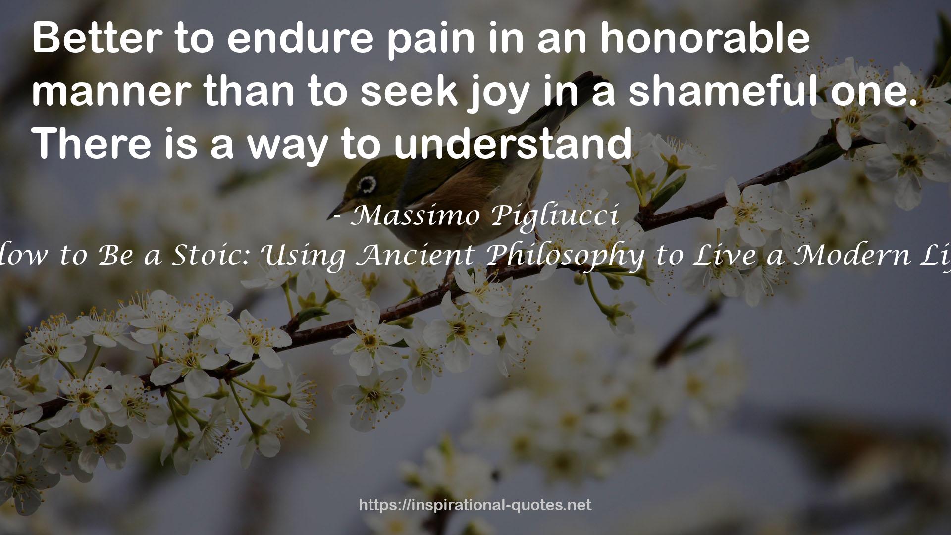 How to Be a Stoic: Using Ancient Philosophy to Live a Modern Life QUOTES