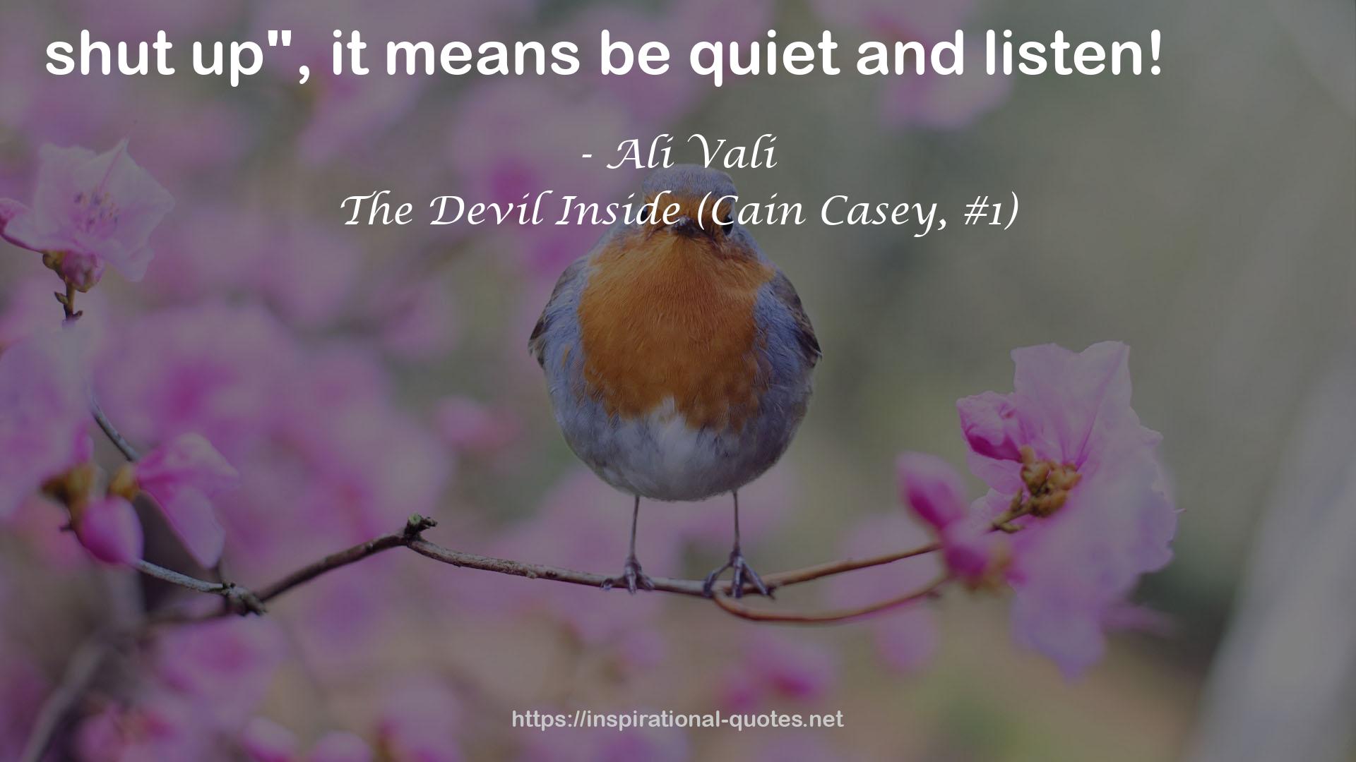 The Devil Inside (Cain Casey, #1) QUOTES