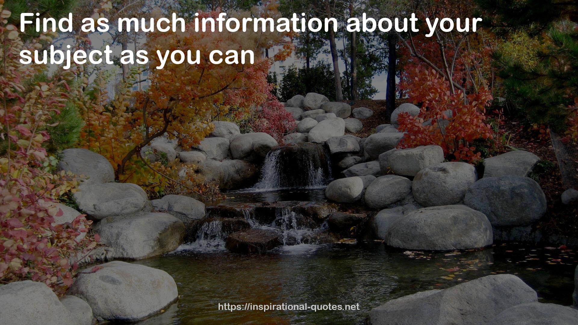 as much information  QUOTES