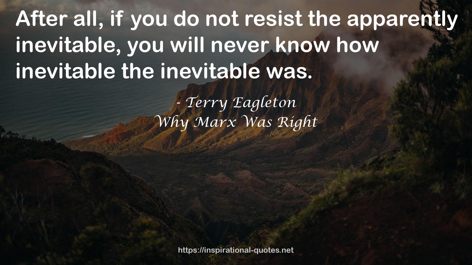 Terry Eagleton QUOTES