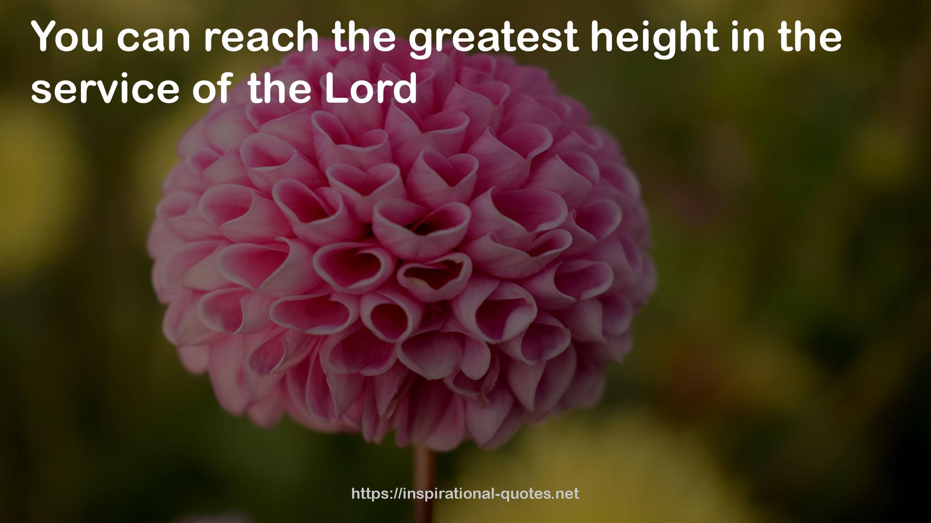 the greatest height  QUOTES