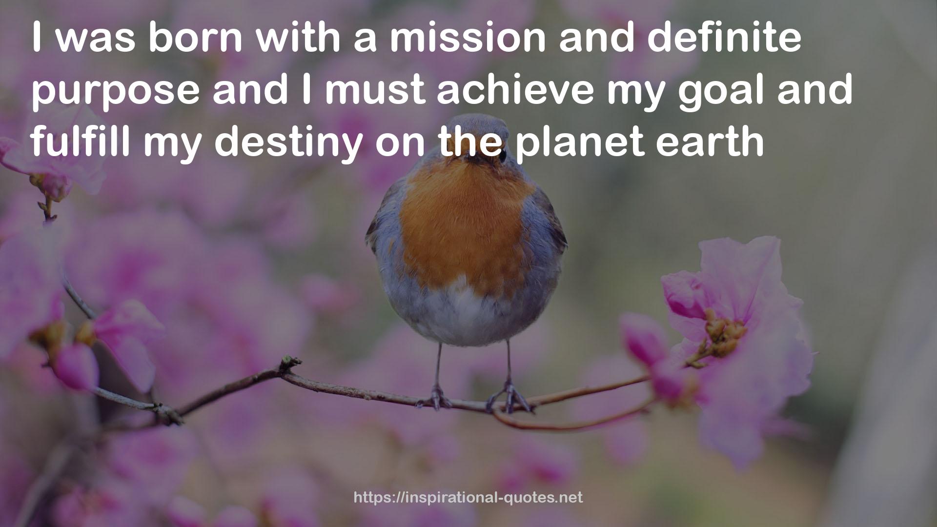 a mission and definite purpose  QUOTES