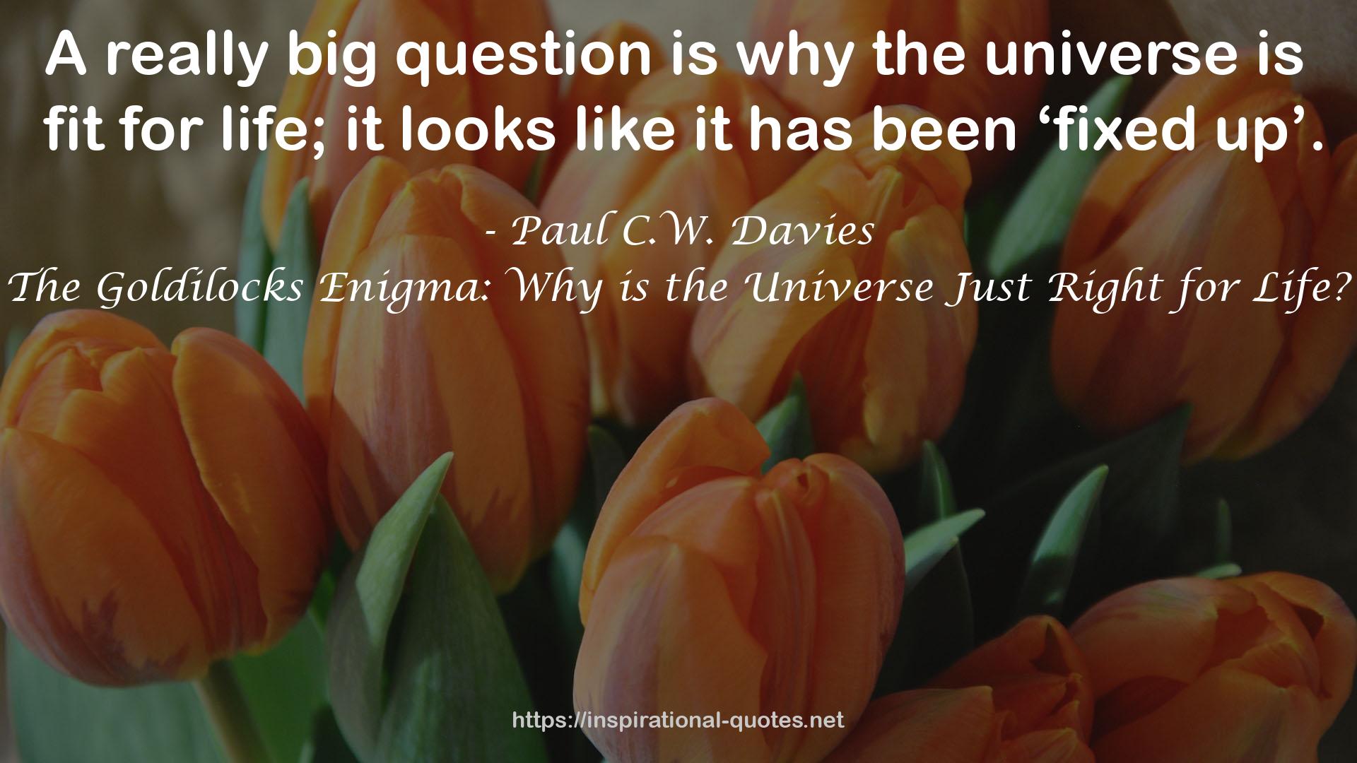 The Goldilocks Enigma: Why is the Universe Just Right for Life? QUOTES