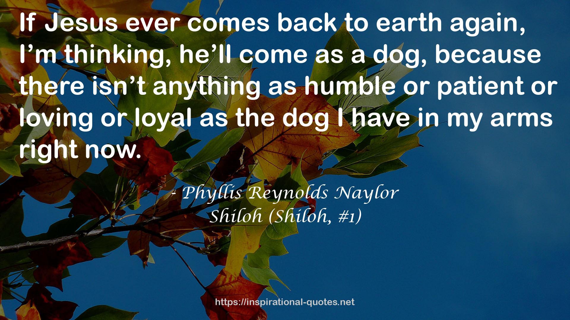 Phyllis Reynolds Naylor QUOTES