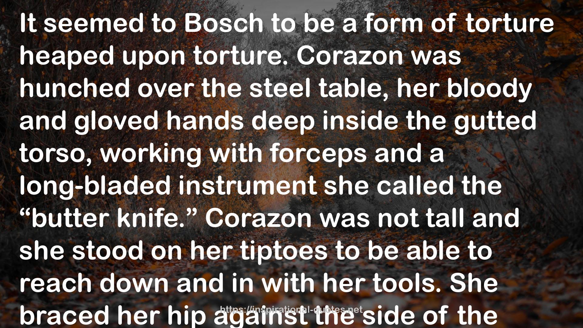 The Burning Room (Harry Bosch, #17; Harry Bosch Universe, #26) QUOTES