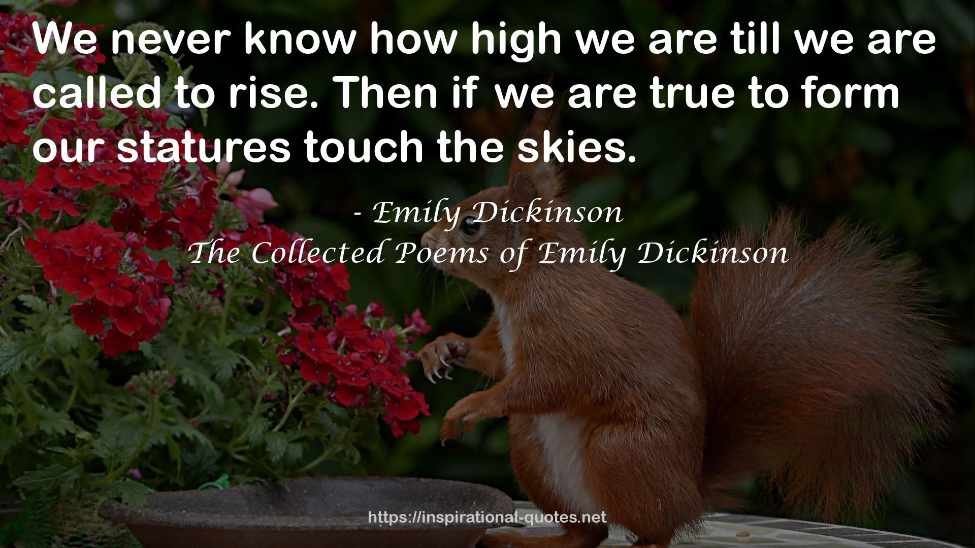 The Collected Poems of Emily Dickinson QUOTES