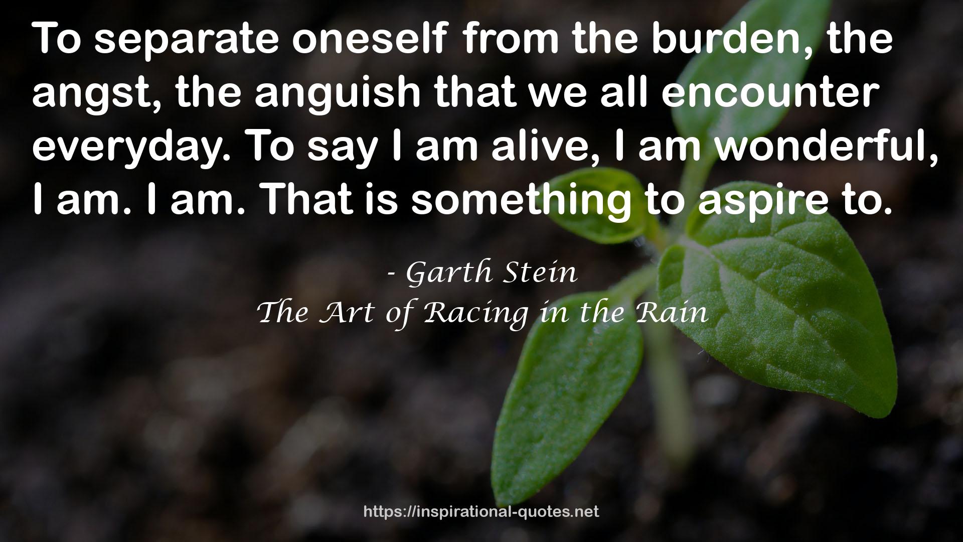 the anguish  QUOTES