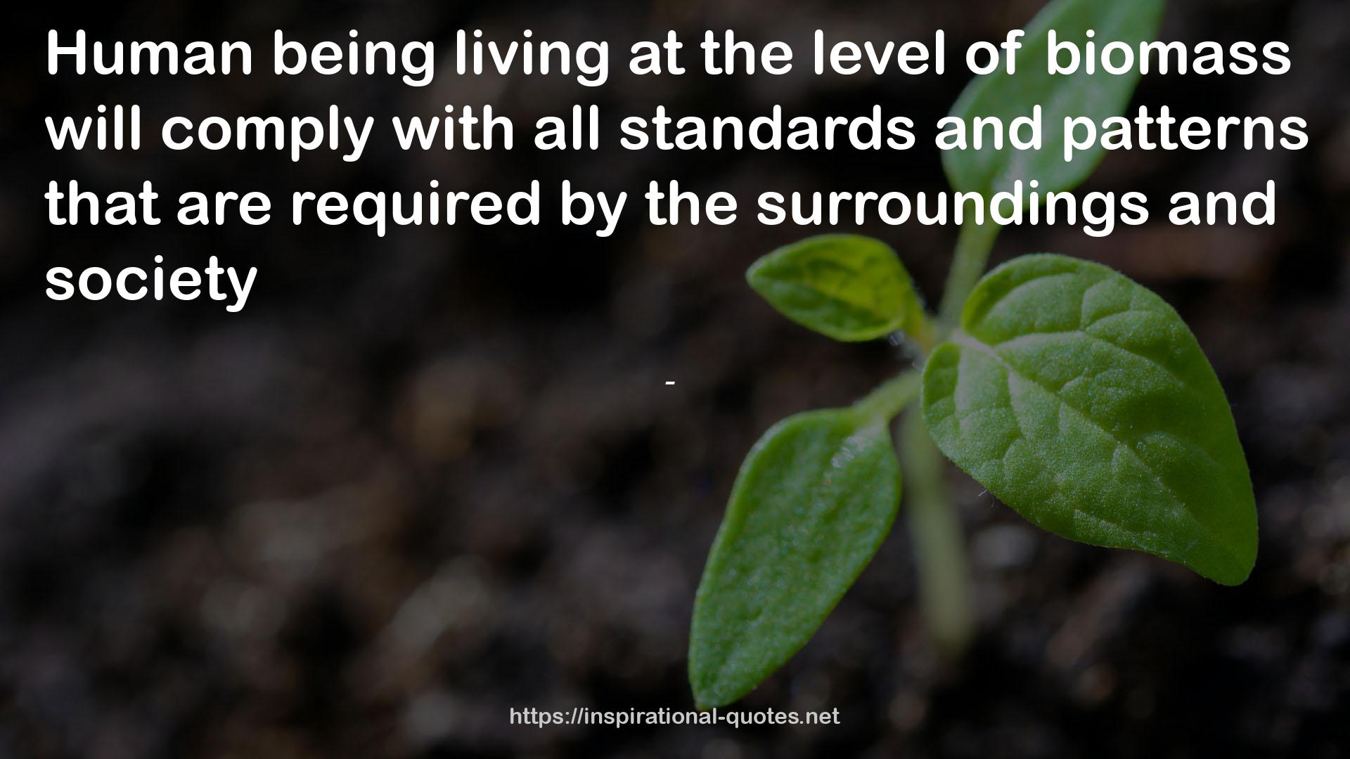 the surroundings  QUOTES