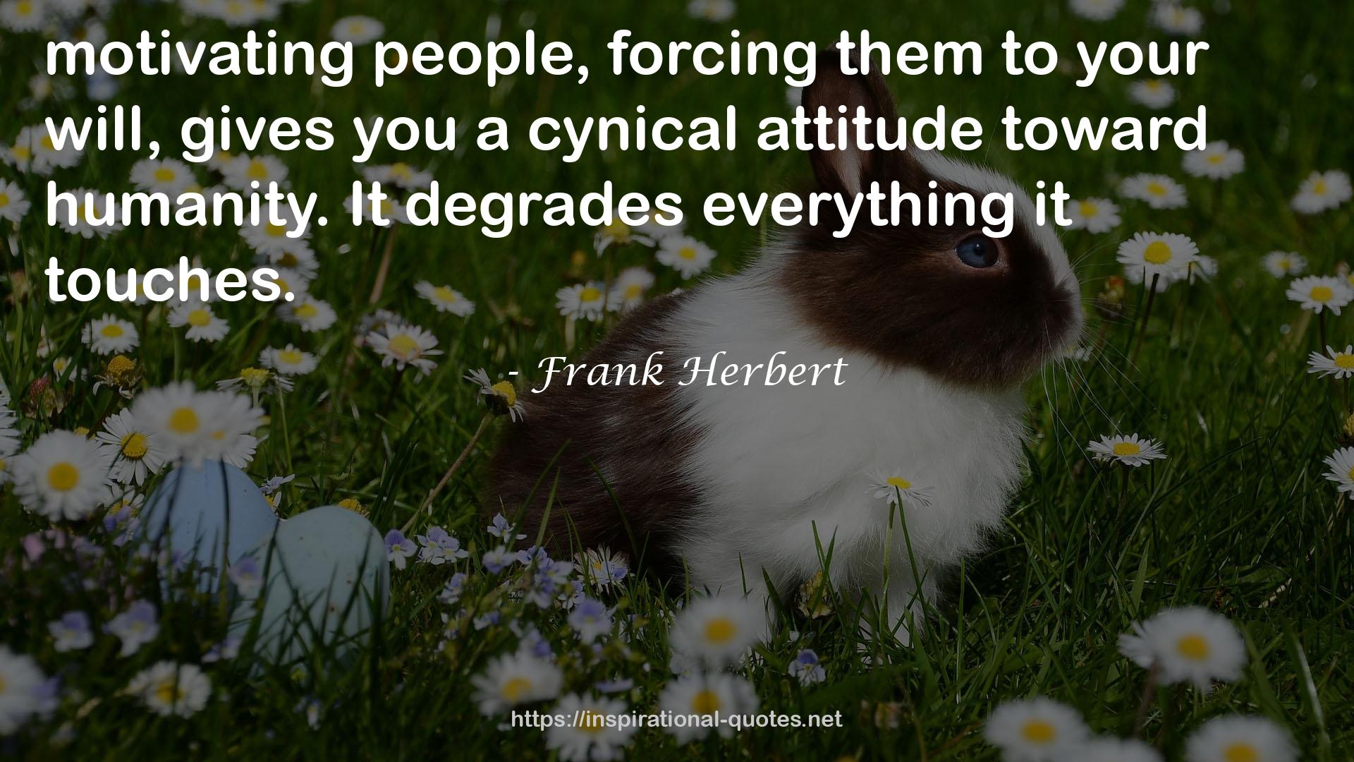 a cynical attitude  QUOTES