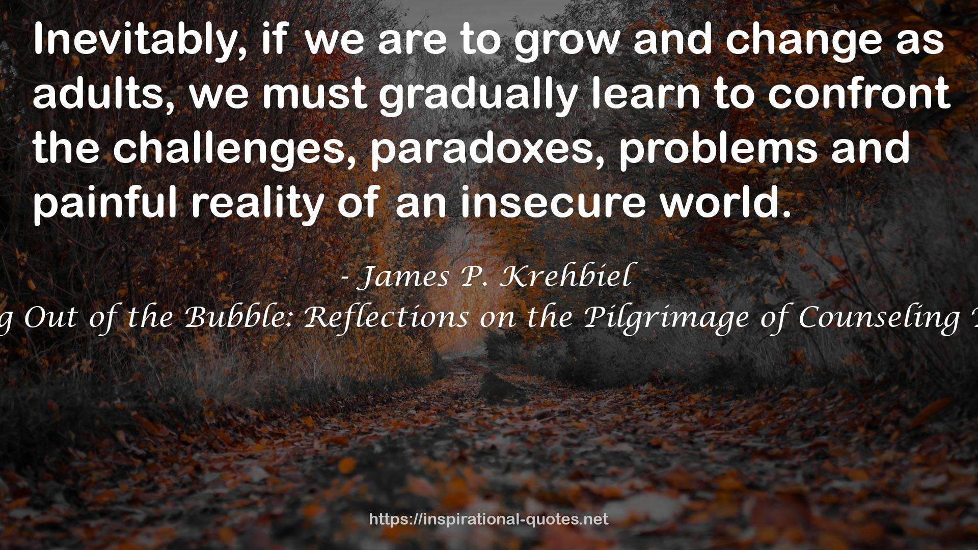 Stepping Out of the Bubble: Reflections on the Pilgrimage of Counseling Therapy QUOTES