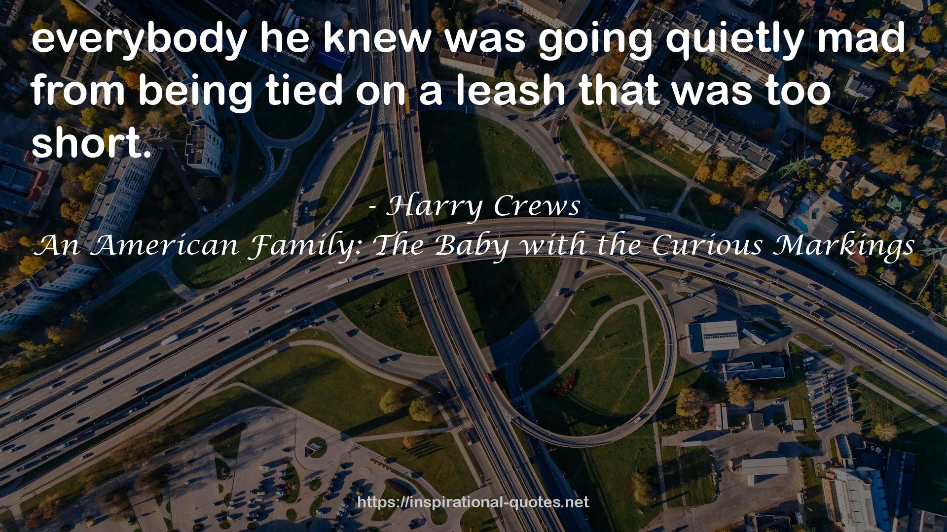 An American Family: The Baby with the Curious Markings QUOTES