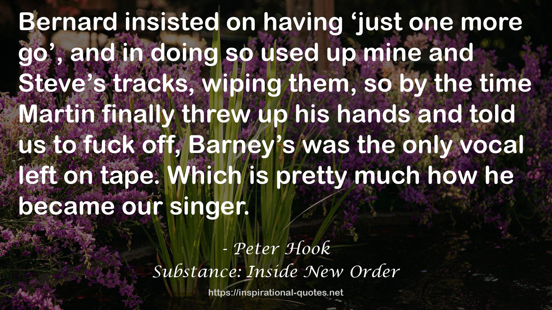 Substance: Inside New Order QUOTES