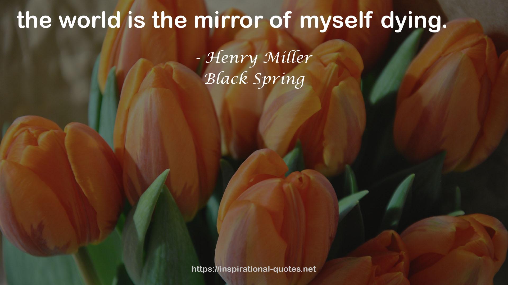 Henry Miller QUOTES