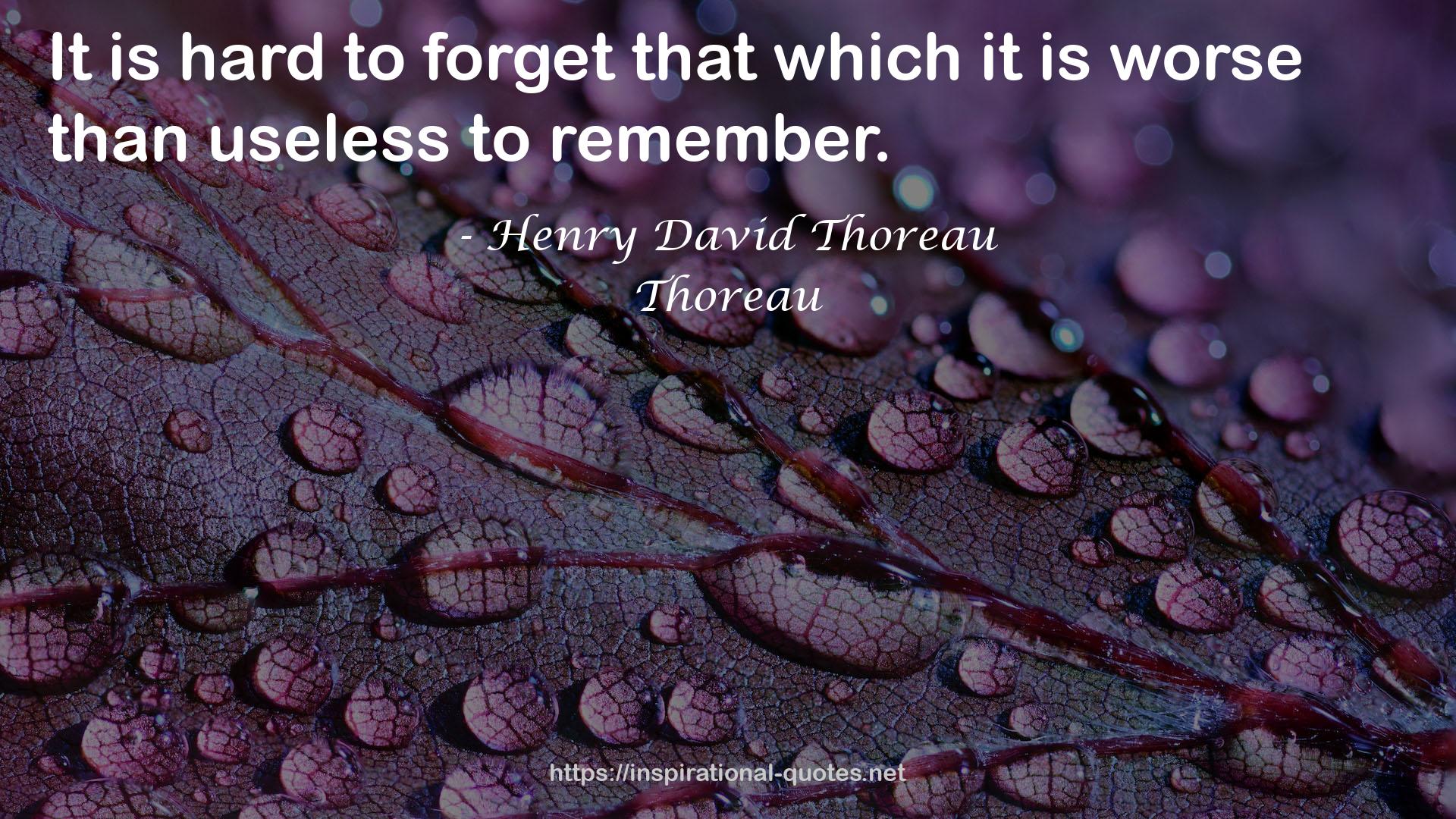 Thoreau QUOTES