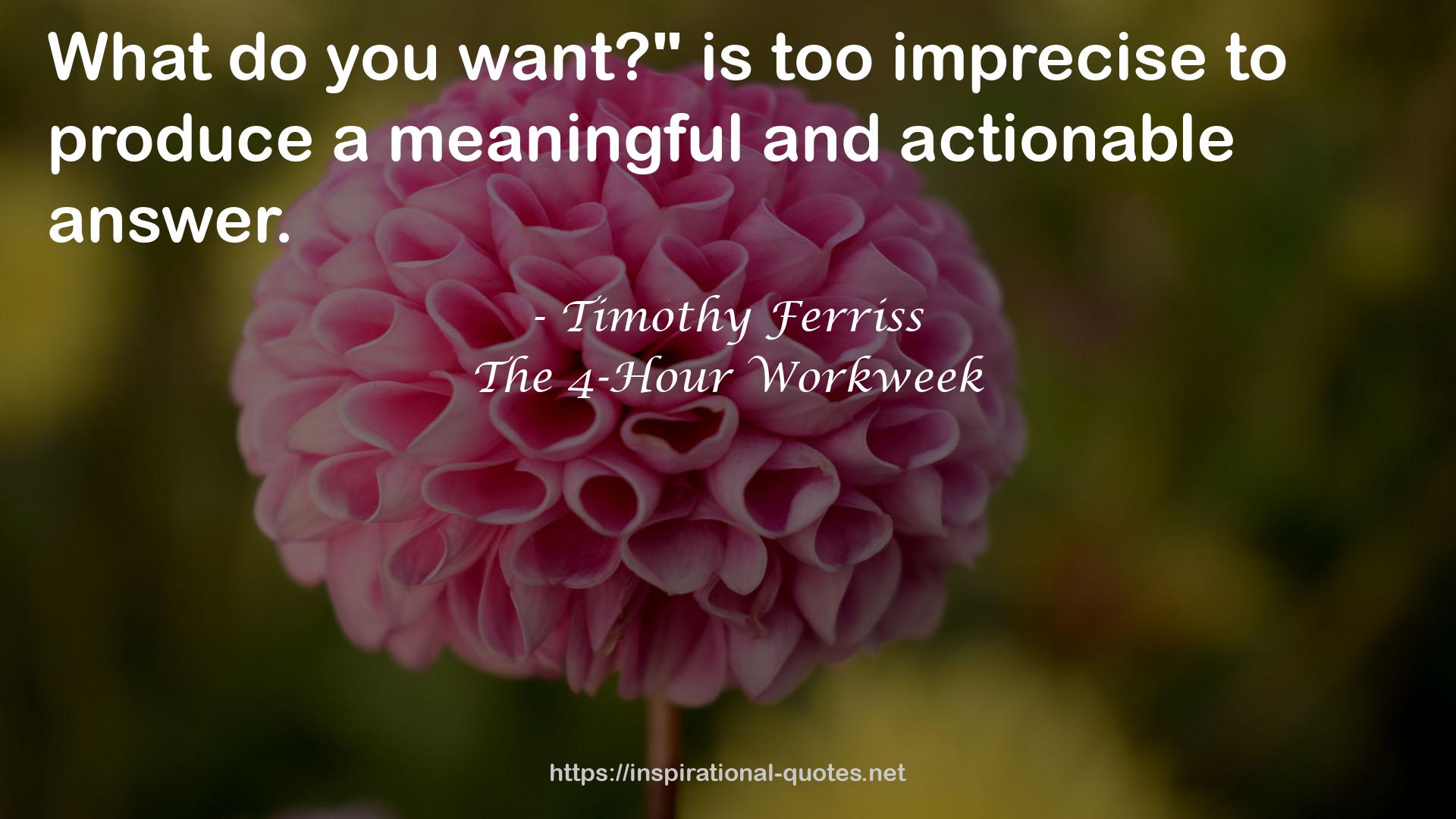 Timothy Ferriss quote : What do you want?