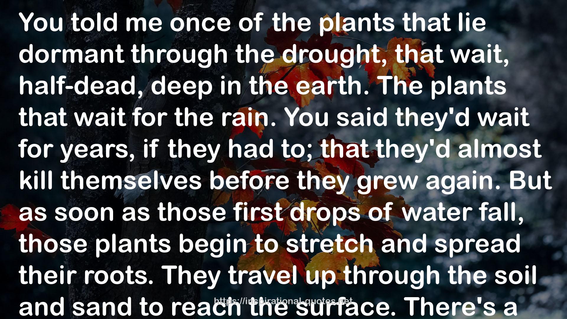 the plants  QUOTES