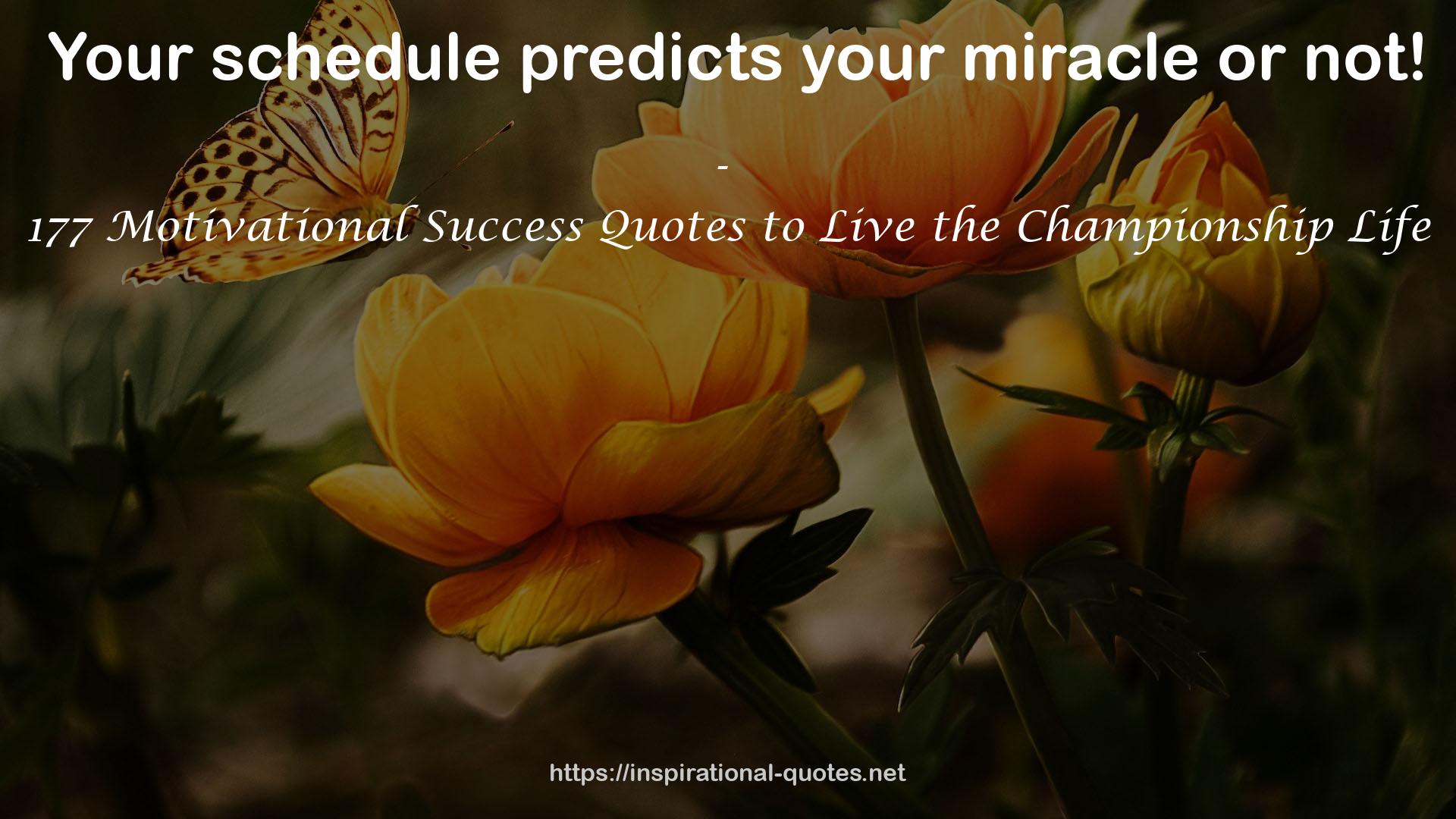 your miracle  QUOTES