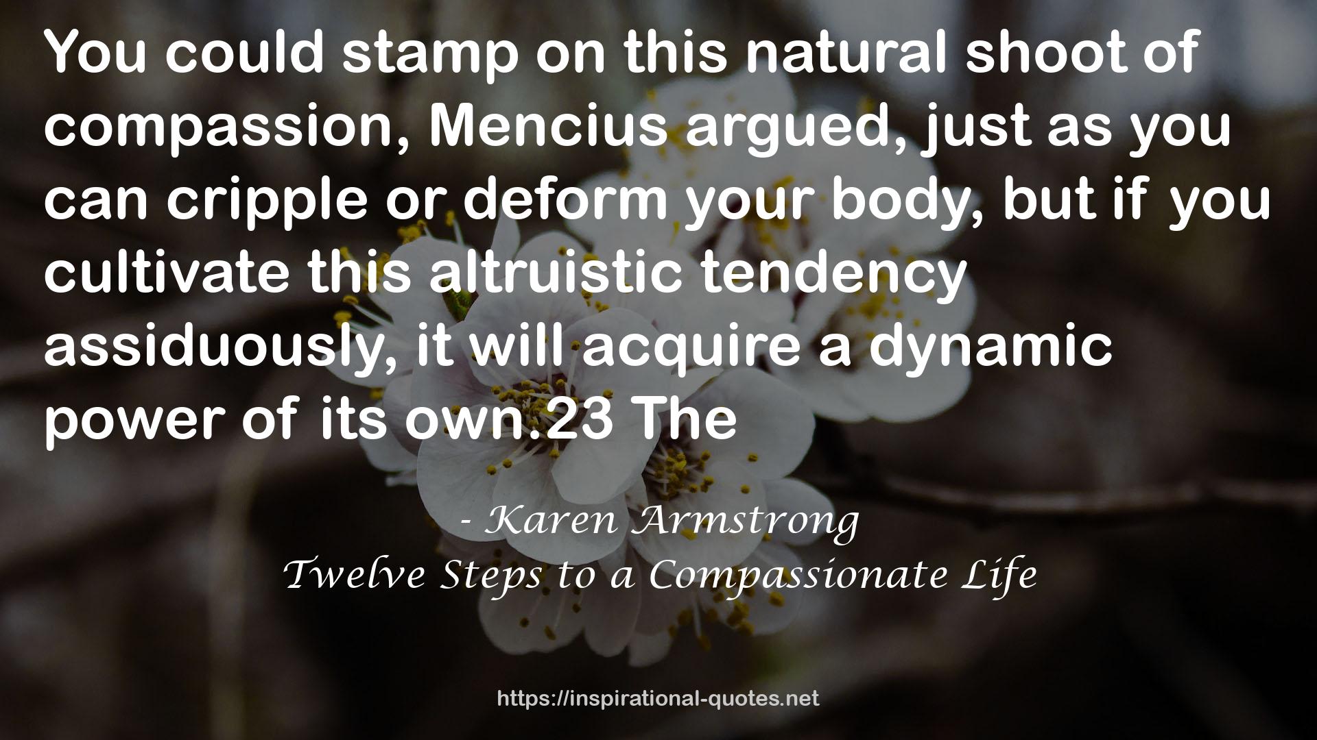 Twelve Steps to a Compassionate Life QUOTES