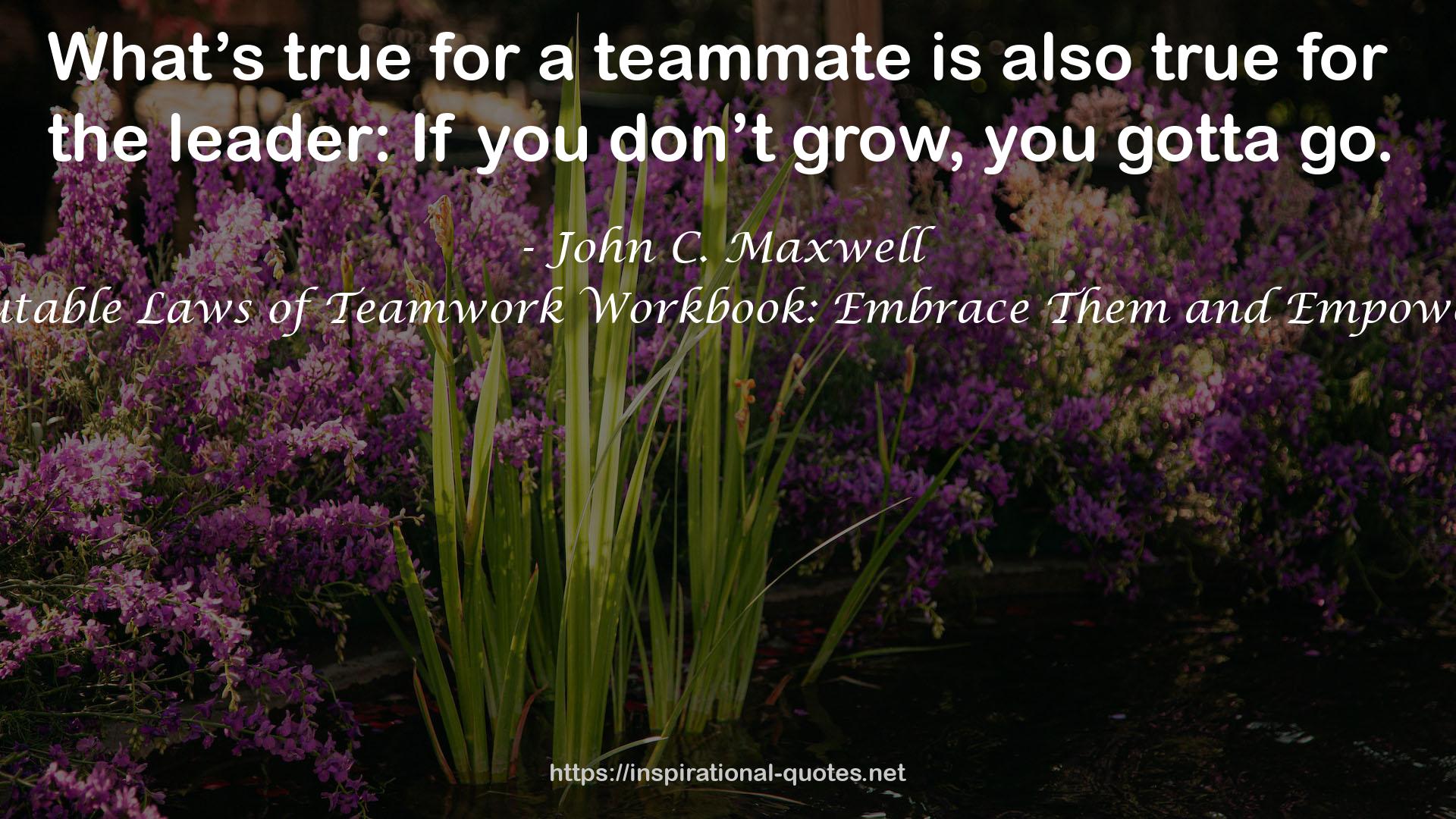 The 17 Indisputable Laws of Teamwork Workbook: Embrace Them and Empower Your Team QUOTES