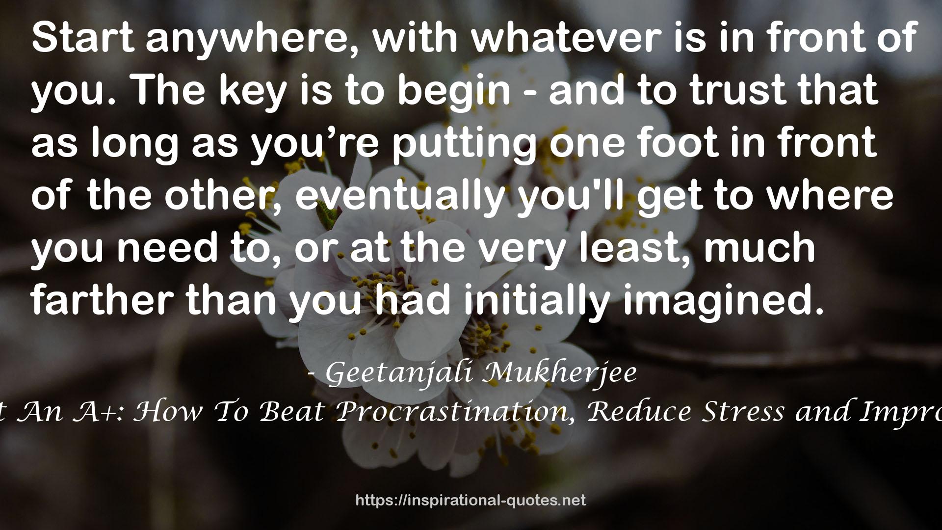 Anyone Can Get An A+: How To Beat Procrastination, Reduce Stress and Improve Your Grades QUOTES