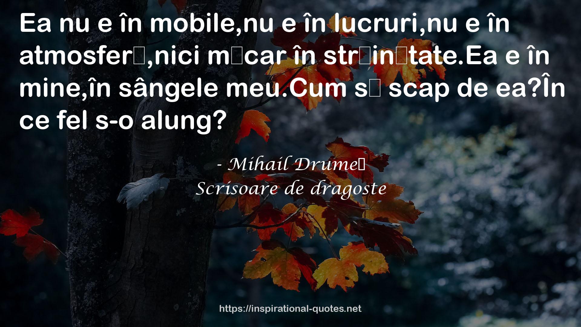 Scrisoare de dragoste QUOTES