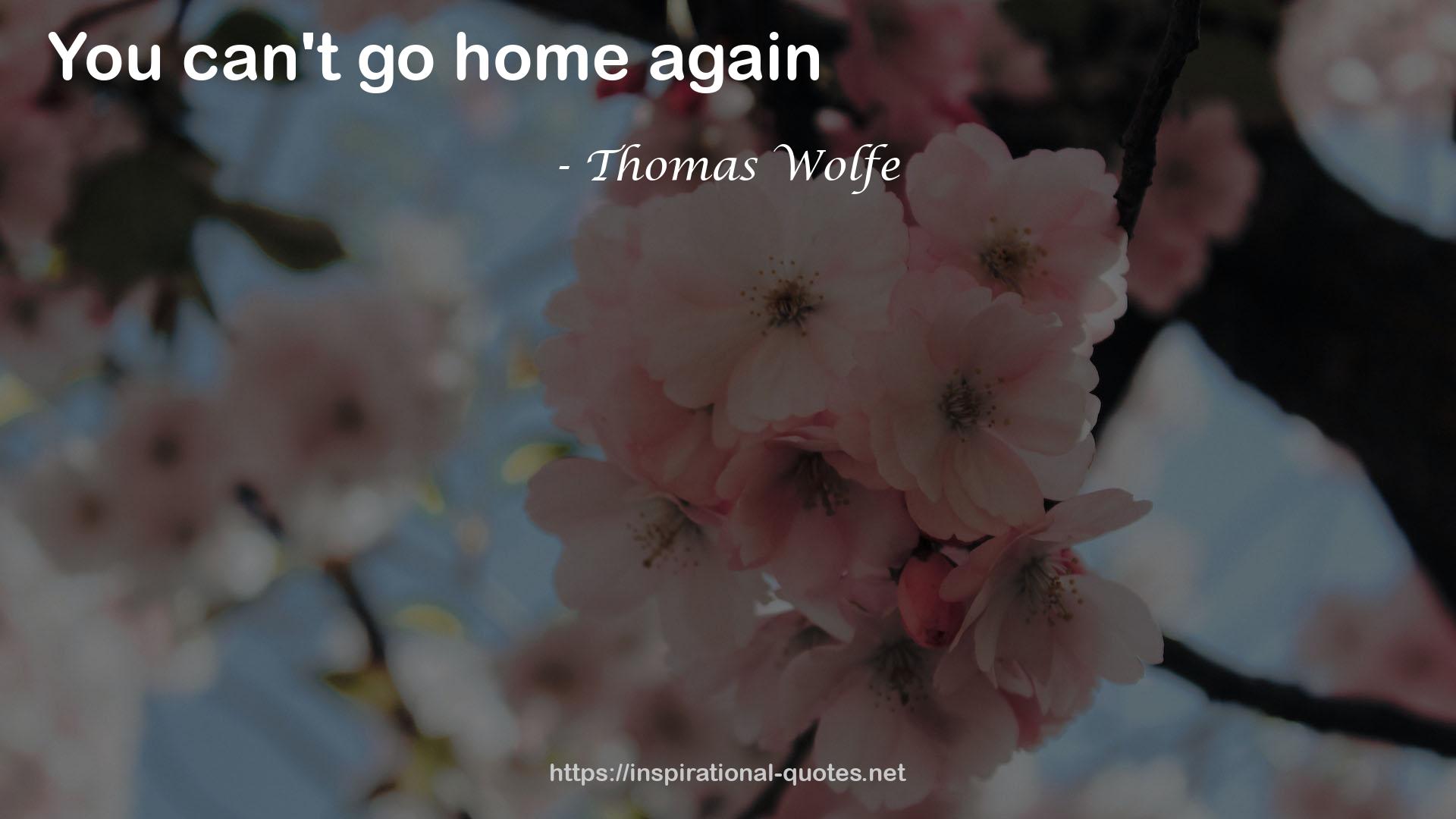 Thomas Wolfe QUOTES