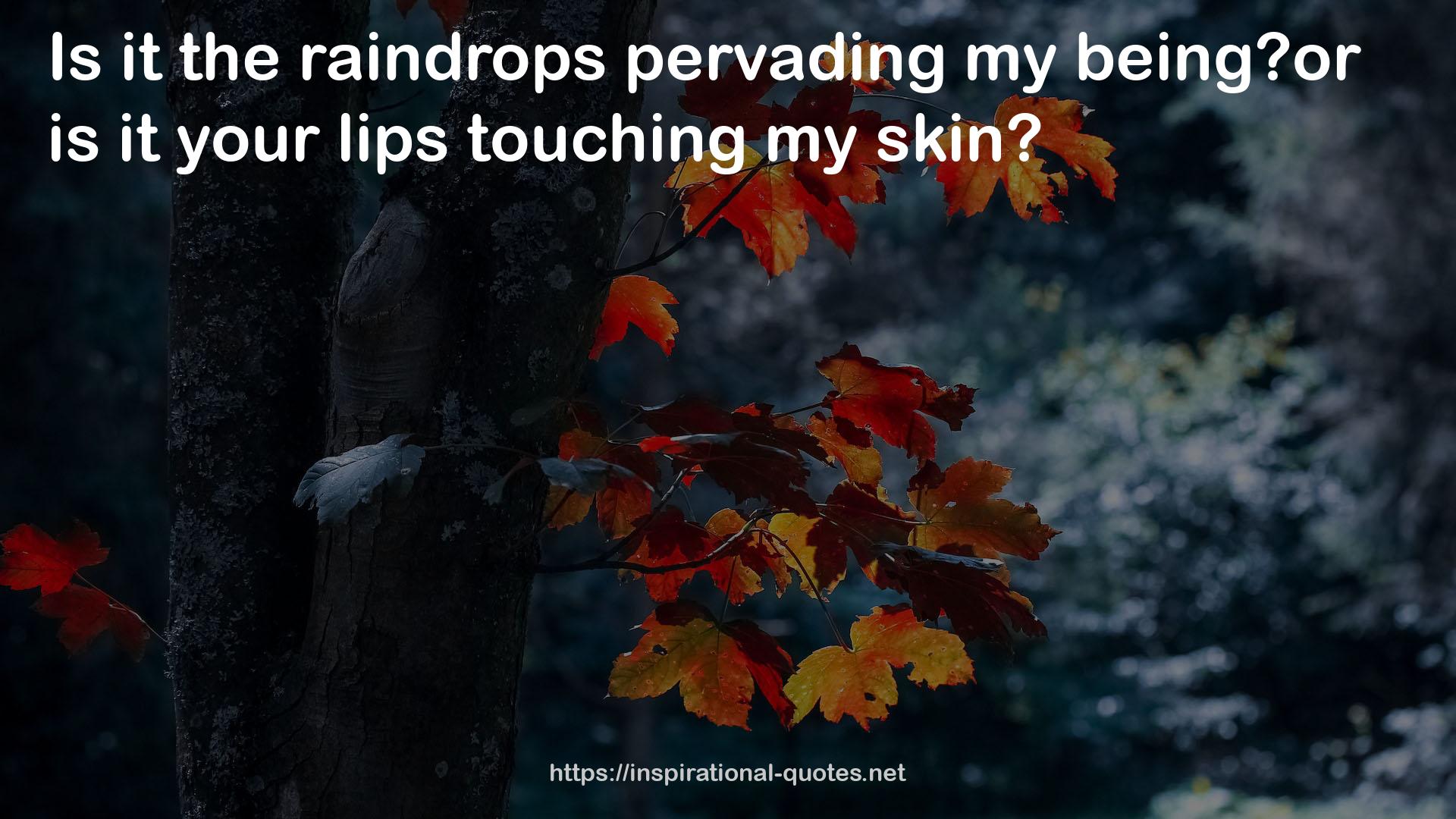 the raindrops  QUOTES