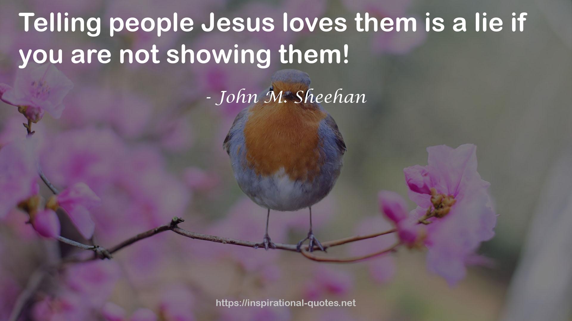 John M. Sheehan QUOTES