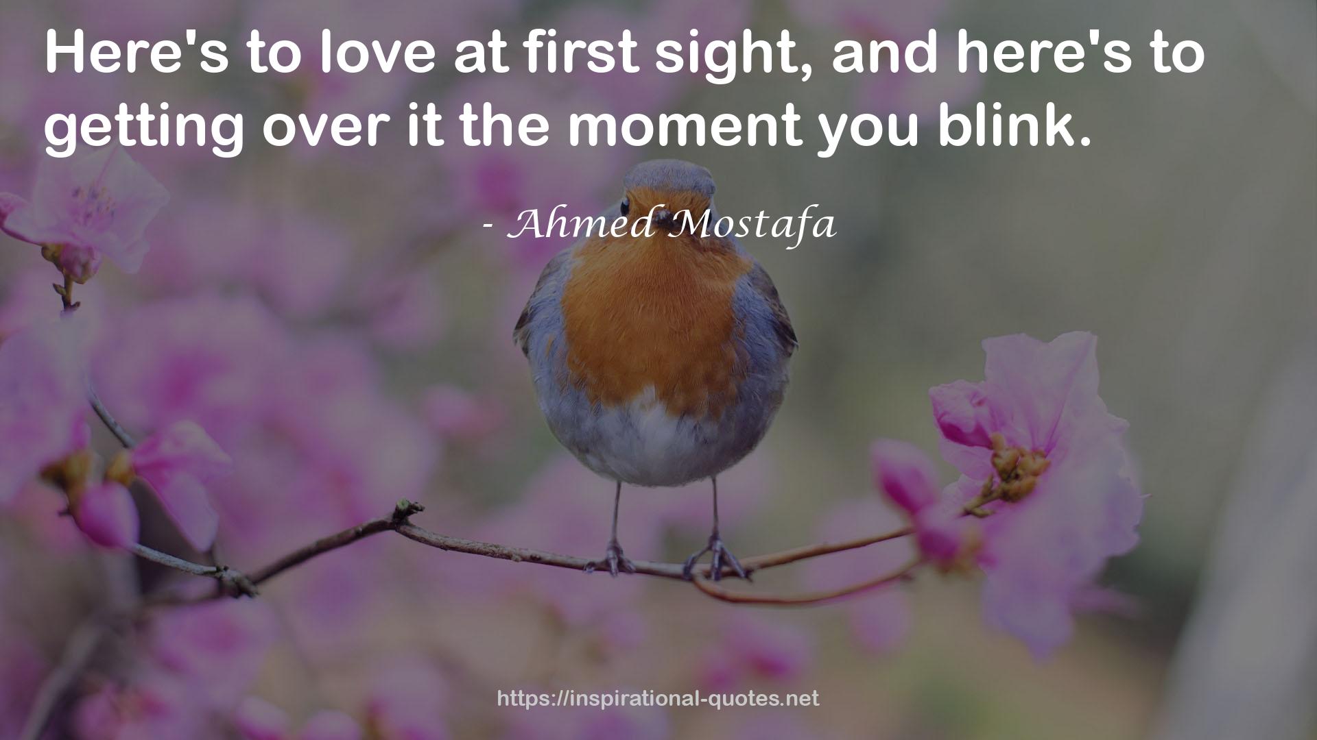 first sight  QUOTES