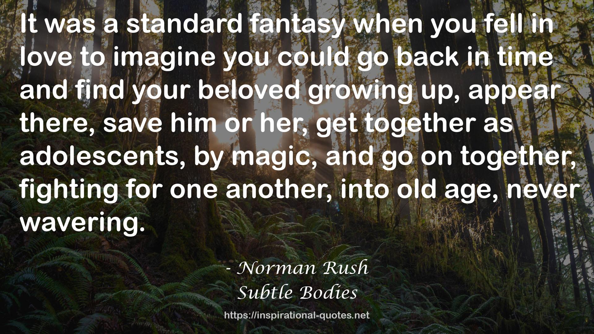 Norman Rush QUOTES
