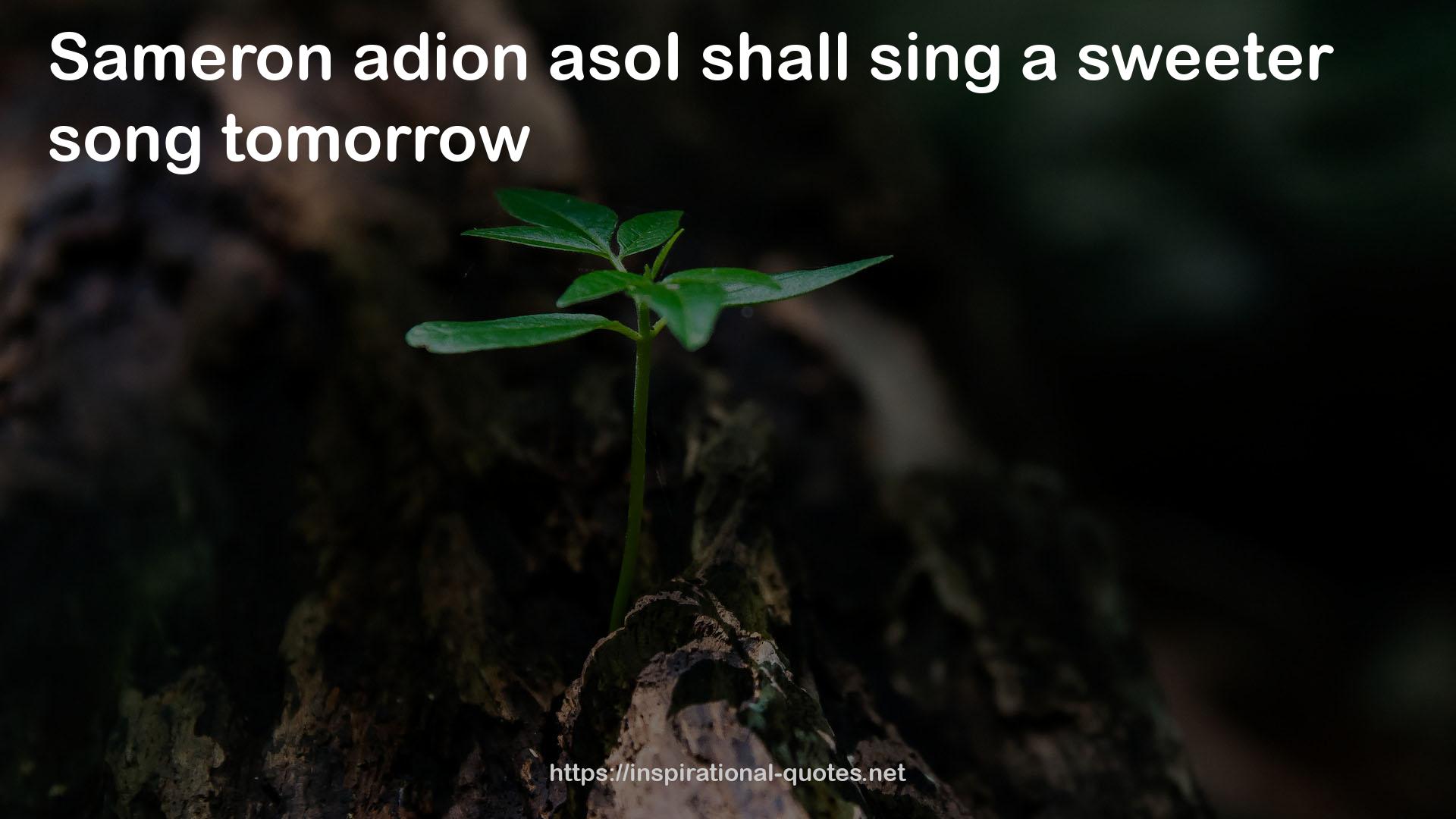 adion  QUOTES